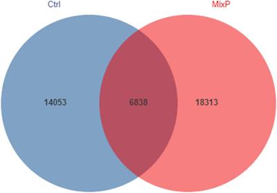 Effects of Compound Probiotics on Cecal Microbiome and Metabolome of Shaoxing Duck